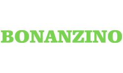 Bonanzino Casino